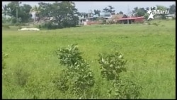 Sin condiciones para iniciar próxima zafra tabacalera, revela campesino Sin condiciones para iniciar próxima zafra tabacalera, revela campesino