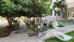 Info Martí | El Oropouche cubano aumenta y se exporta Info Martí | El Oropouche cubano aumenta y se exporta