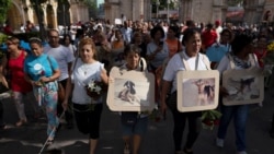 Info Martí | No a la violencia animal en Cuba Info Martí | No a la violencia animal en Cuba