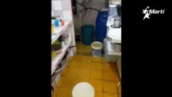 Madre muestra apartamento inundado mientras llueve en edificio de Antilla Madre muestra apartamento inundado mientras llueve en edificio de Antilla