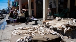 Hoy con Teresa Miranda, Esteban Ajete, Rolando Cásares, Yamilka Abascal, Osmany Poveda, Victoria Martínez y Vladimir Turró Hoy con Teresa Miranda, Esteban Ajete, Rolando Cásares, Yamilka Abascal, Osmany Poveda, Victoria Martínez y Vladimir Turró