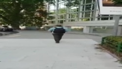 Ariel Ruiz Urquiola comienza ayuno frente a la sede de la Oficina del Alto Comisionado de las Naciones Unidas para los Derechos Humanos Ariel Ruiz Urquiola comienza ayuno frente a la sede de la Oficina del Alto Comisionado de las Naciones Unidas para los Derechos Humanos