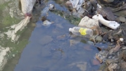 El dengue avanza en todas las provincias y se advierte incremento de casos de Covid-19 El dengue avanza en todas las provincias y se advierte incremento de casos de Covid-19