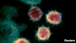Así luce SARS-CoV-2, conocido como COVID-19. NIAID-RML/Handout via REUTERS.