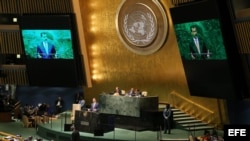 Asamblea General de las Naciones Unidas.