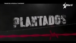 Info Martí | Se estrena en España la película “Plantados”, del director Lilo Vilaplana Info Martí | Se estrena en España la película “Plantados”, del director Lilo Vilaplana