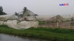 El huracán Michael dejará un fuerte impacto en la economía de Cuba El huracán Michael dejará un fuerte impacto en la economía de Cuba