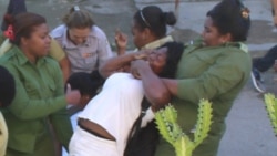 Declaraciones de Berta Soler Declaraciones de Berta Soler