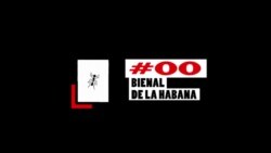 "Estamos echando todo en este proyecto", dicen organizadores de la Bienal00 "Estamos echando todo en este proyecto", dicen organizadores de la Bienal00