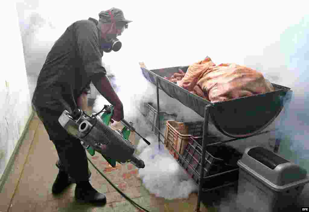 La campaña fue anunciada este lunes por el gobernante cubano, Raúl Castro, en el diario oficial Granma y prevé la movilización de más de 9.000 efectivos de sus Fuerzas Armadas y de oficiales de la reserva así como de 200 oficiales de la Policía Nacional.