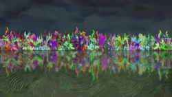 Florida, Claudio Castillo Florida, Claudio Castillo