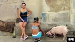 La violencia de género continua siendo un serio problema en la sociedad cubana.