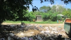 Bayamo se ahoga en basura Bayamo se ahoga en basura