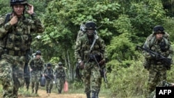 Soldados colombianos patrullan la serranía.
