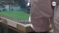 VOA Covid-19 América Latina (cuándo será endémico? VOA Covid-19 América Latina (cuándo será endémico?