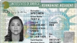 Noticias de Cuba en 5 minutos | 08/08/2025 Ejemplo de green card o tarjeta verde, residencia permanente en EEUU. (USCIS)