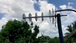 Antenas criollas para mejorar la señal de Internet en los teléfonos Antenas criollas para mejorar la señal de Internet en los teléfonos