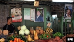 Un hombre vende vegetales en un mercado agrario junto a carteles con las imágenes de Fidel y Raúl Castro.