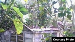 Reportero ciudadano recorre Bahía Honda