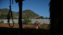 Llueven las críticas en Cuba a la tarea de ordenamiento Llueven las críticas en Cuba a la tarea de ordenamiento