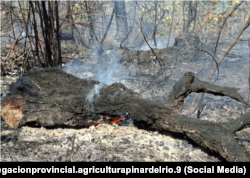 Imágenes del incendio forestal en Pinar del Río, en abril de 2025.