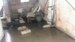 Vecinos de edificio en La Habana llevan meses expuestos a contaminación de aguas albañales Vecinos de edificio en La Habana llevan meses expuestos a contaminación de aguas albañales