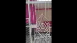 La casa de la delegada La casa de la delegada