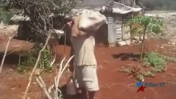 Familias de Gibara viven en extrema pobreza Familias de Gibara viven en extrema pobreza