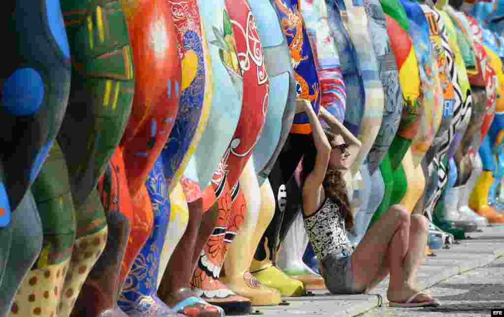 La exposición de osos en Brasil en el 2014.