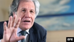 El secretario general de la Organización de Estados Americanos (OEA), Luis Almagro.