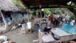 Cubanos describen un panorama de apagones y hambre Cubanos describen un panorama de apagones y hambre