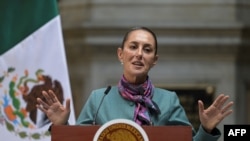 La presidenta de México, Claudia Sheinbaum, habla durante la Cumbre de Alto Nivel entre líderes y empresarios mexicanos y estadounidenses en el Palacio Nacional de la Ciudad de México el 15 de octubre de 2024. (Foto de Yuri CORTEZ / AFP)