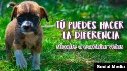 Foto de perfil de Facebook de CeDA.