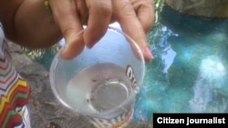 Una muestra del agua de la fuente incluye huevos de Aedes Aegypti, agente transmisor del dengue y el Zika.