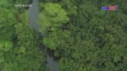 Cubanos emigrantes se aventuran a pasar por la arriesgada Selva del Darién para salvarse Cubanos emigrantes se aventuran a pasar por la arriesgada Selva del Darién para salvarse