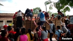 Carretas y carretones: otro paisaje de la crisis en Cuba